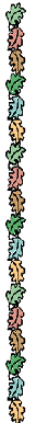 divisore.gif (5912 byte)