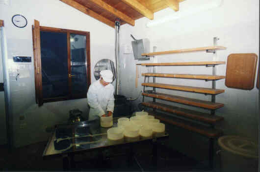 latte16.jpg (15945 byte)