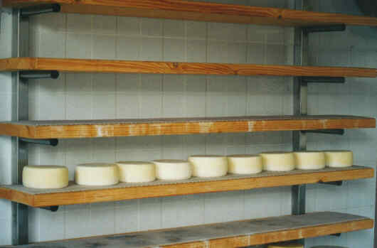 latte23.jpg (15855 byte)