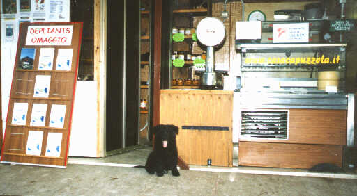 latte28.jpg (27208 byte)