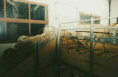 platte04.jpg (3998 byte)