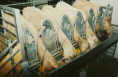 platte05.jpg (6507 byte)