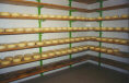platte24.jpg (4703 byte)