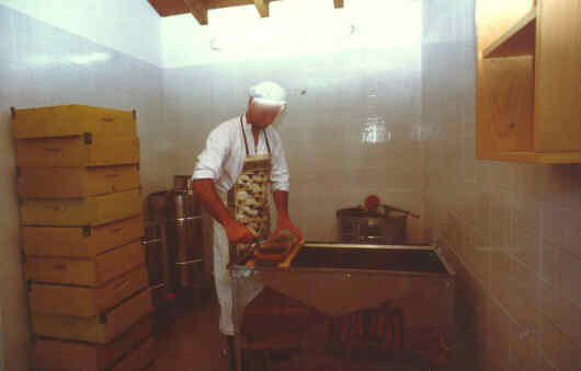 miele02.jpg (11841 byte)
