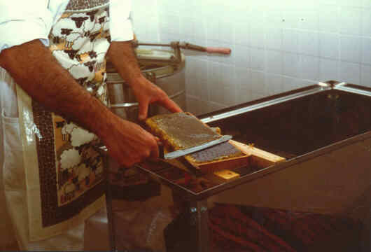 miele03.jpg (16104 byte)