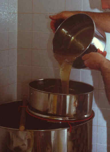 miele06.jpg (13602 byte)