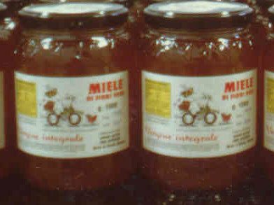miele10.jpg (32514 byte)