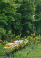 psciame04.jpg (7613 byte)