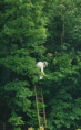 psciame05.jpg (5883 byte)