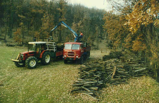 legna03.jpg (32154 byte)